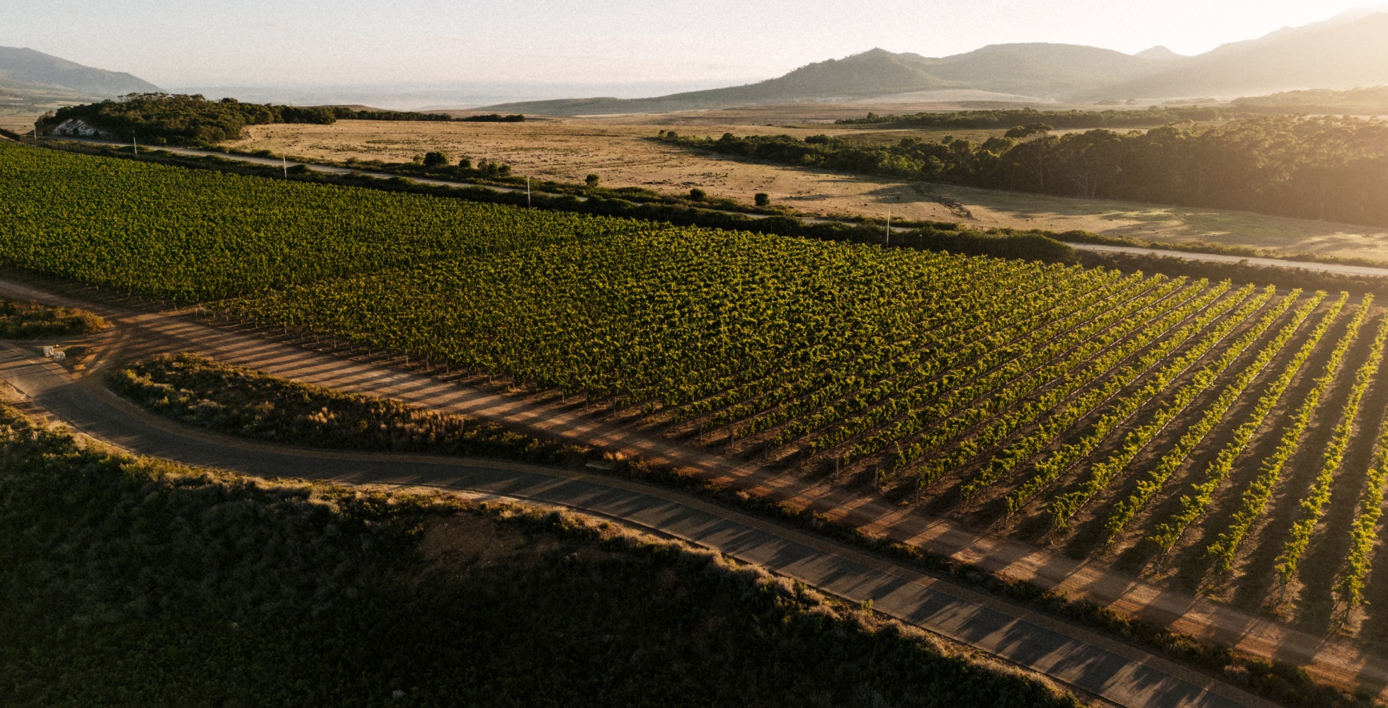 BCSA Africa Safari Trips - Guided-Nature-Walk-Wine-Tasting (4)
