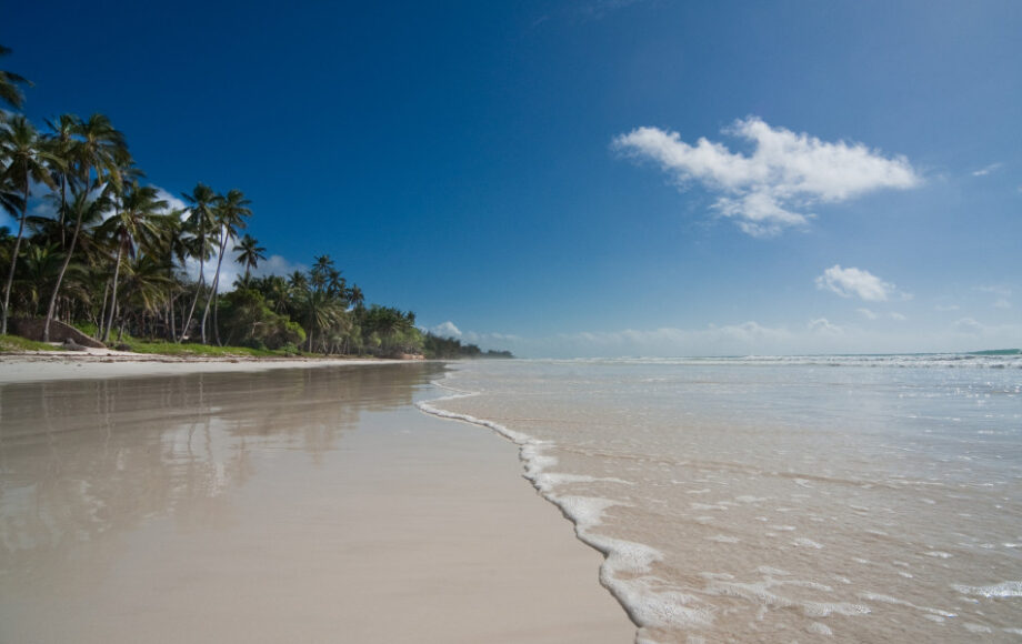 Weißer Sandstrand von Diani Beach mit Palmen auf einer Seite und dem Indischen Ozean auf der anderen
