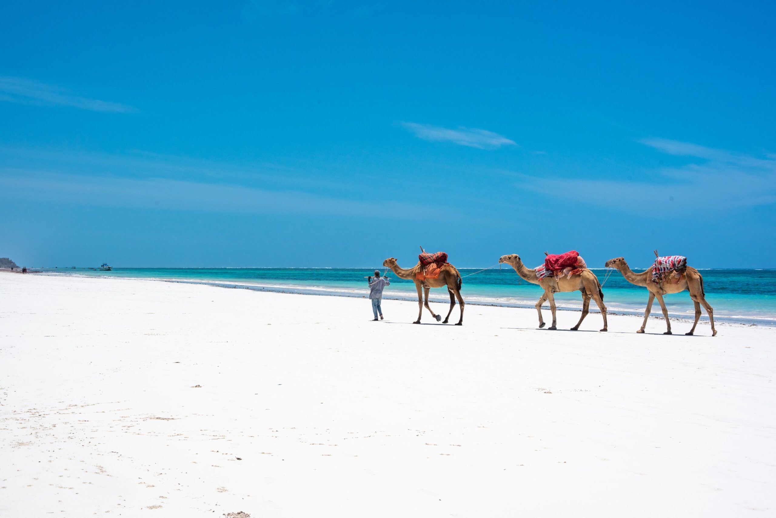 Besuchen Sie Mombasa mit Afrika Safari Urlaub