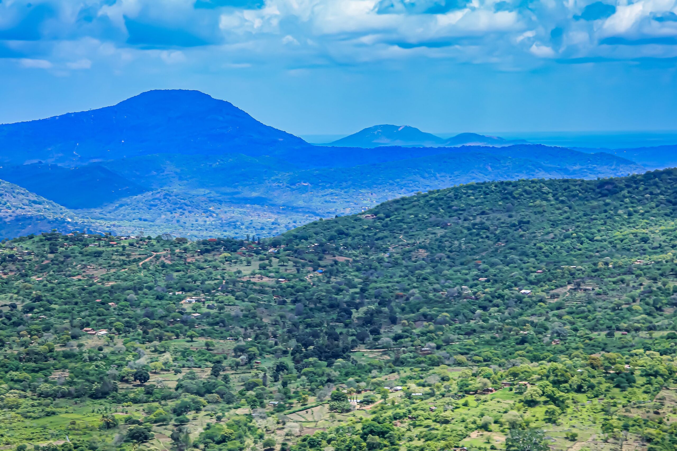 Taita Hills Hügel mit Bäumen und Bergen im Hintergrund
