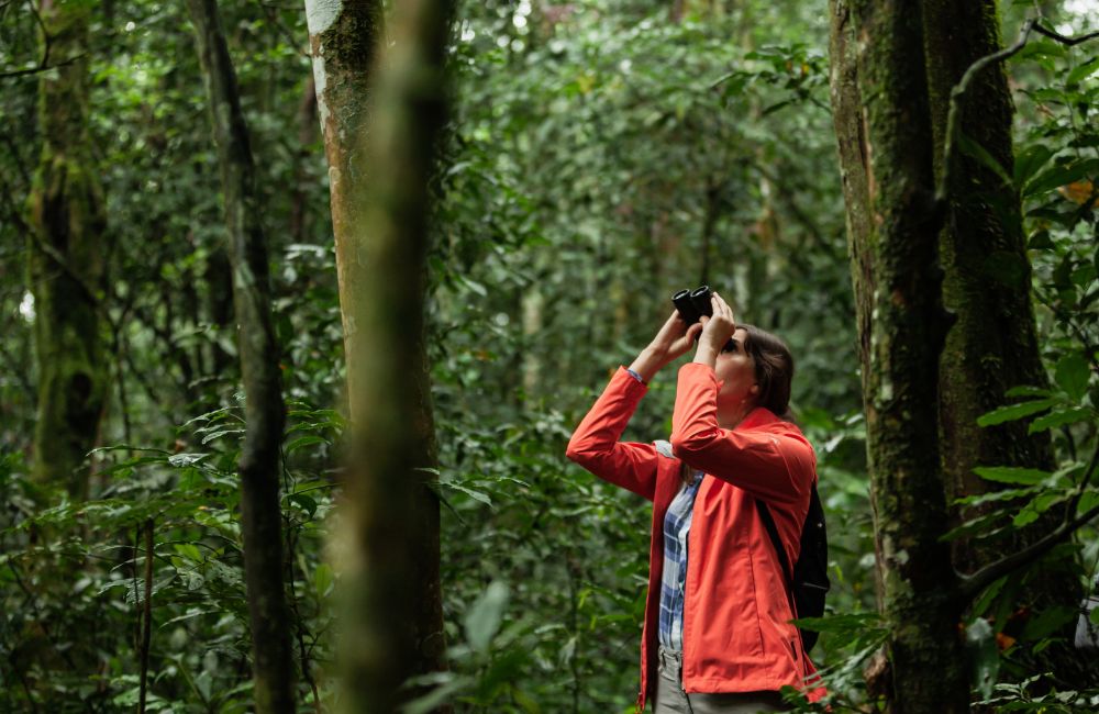 Tourist im Regenwald im Kibale Nationalpark