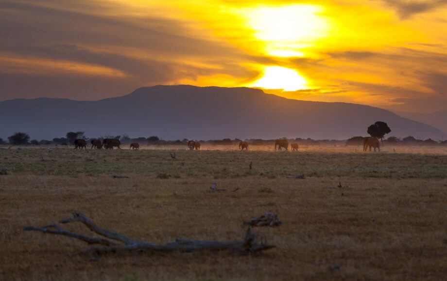 Tsavo East Nationalpark