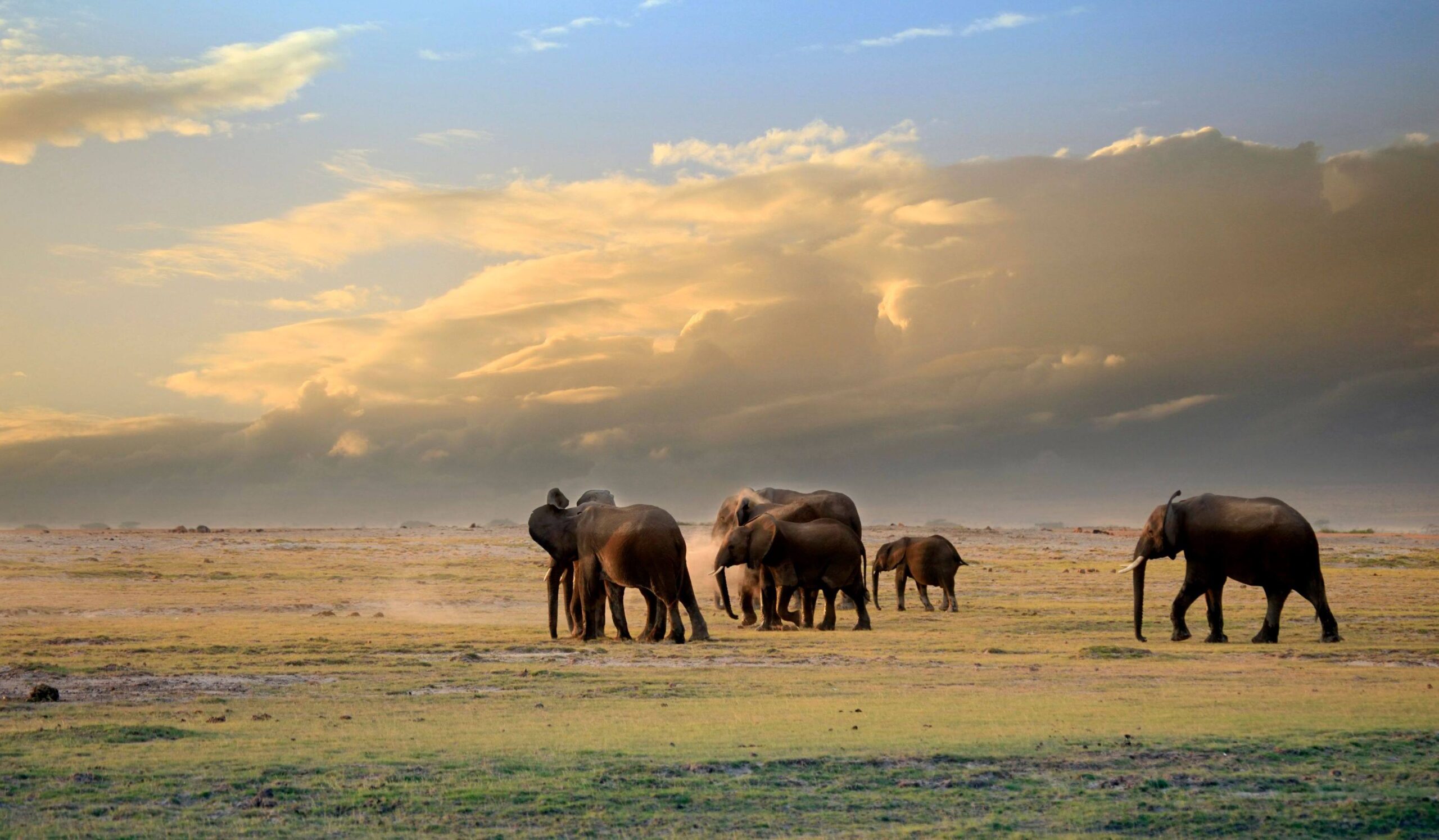 Amboseli Nationalpark