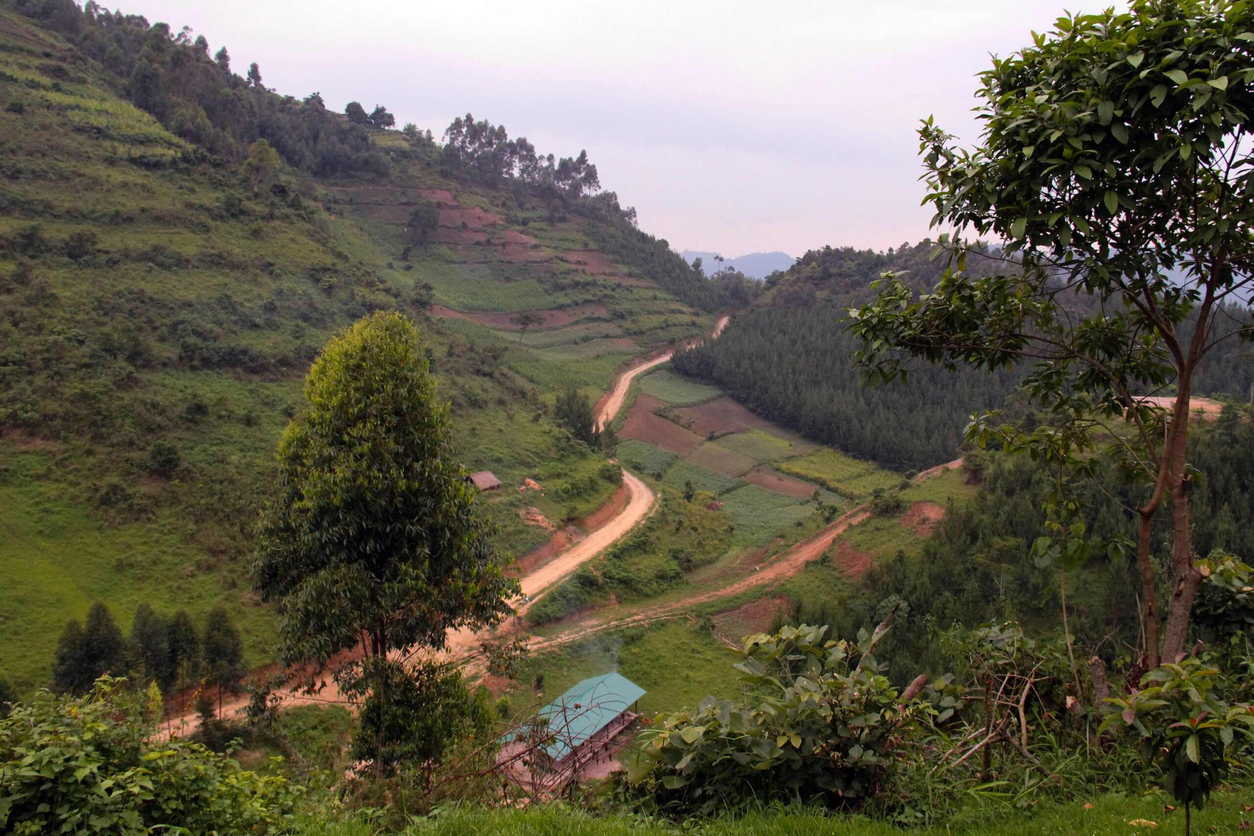 Fahrt von Queen Elizabeth zum Bwindi Impenetrable Nationalpark