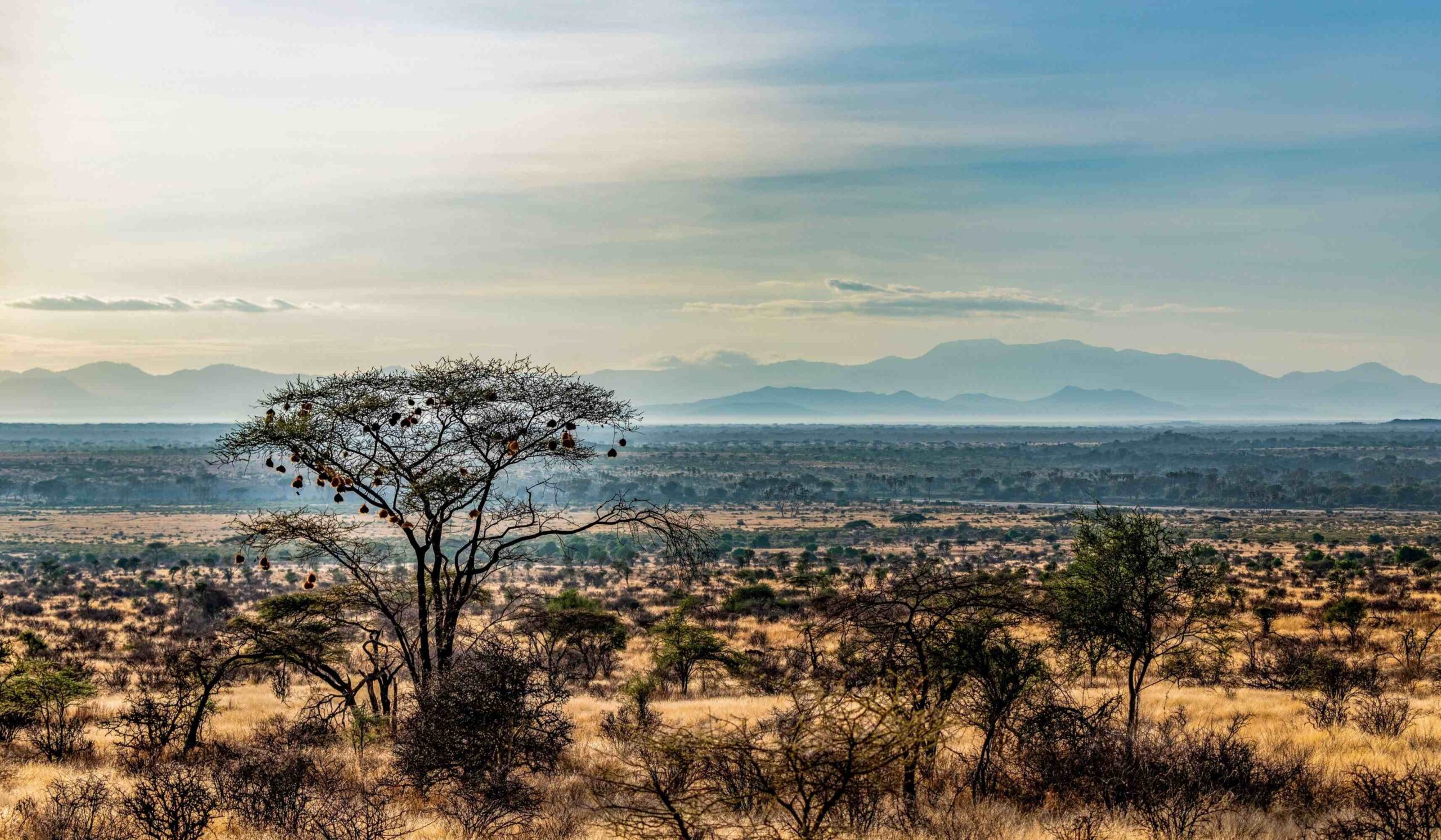 Samburu Nationalreservat