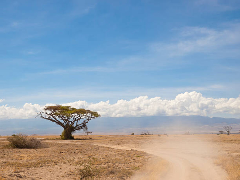 Fahrt zu Ihrer Unterkunft außerhalb des Masai Mara Nationalreservats