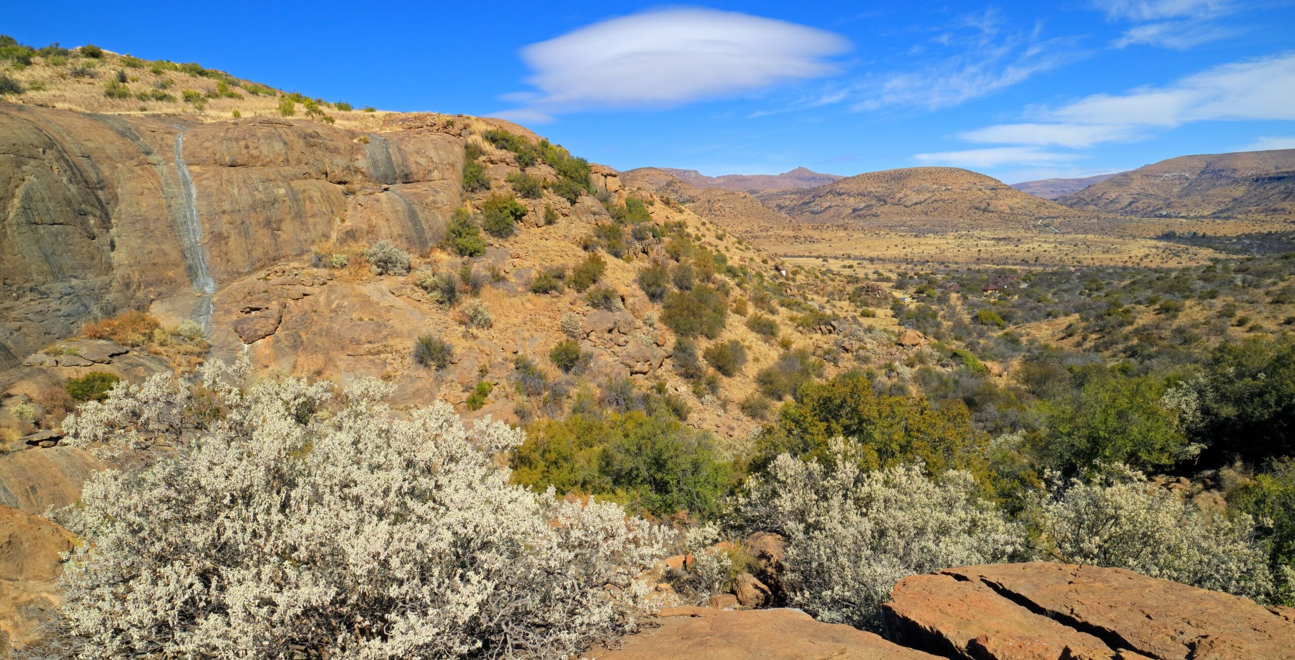 Sandige und mit Büschen gespickte Hügel im Mountain Zebra Nationalpark
