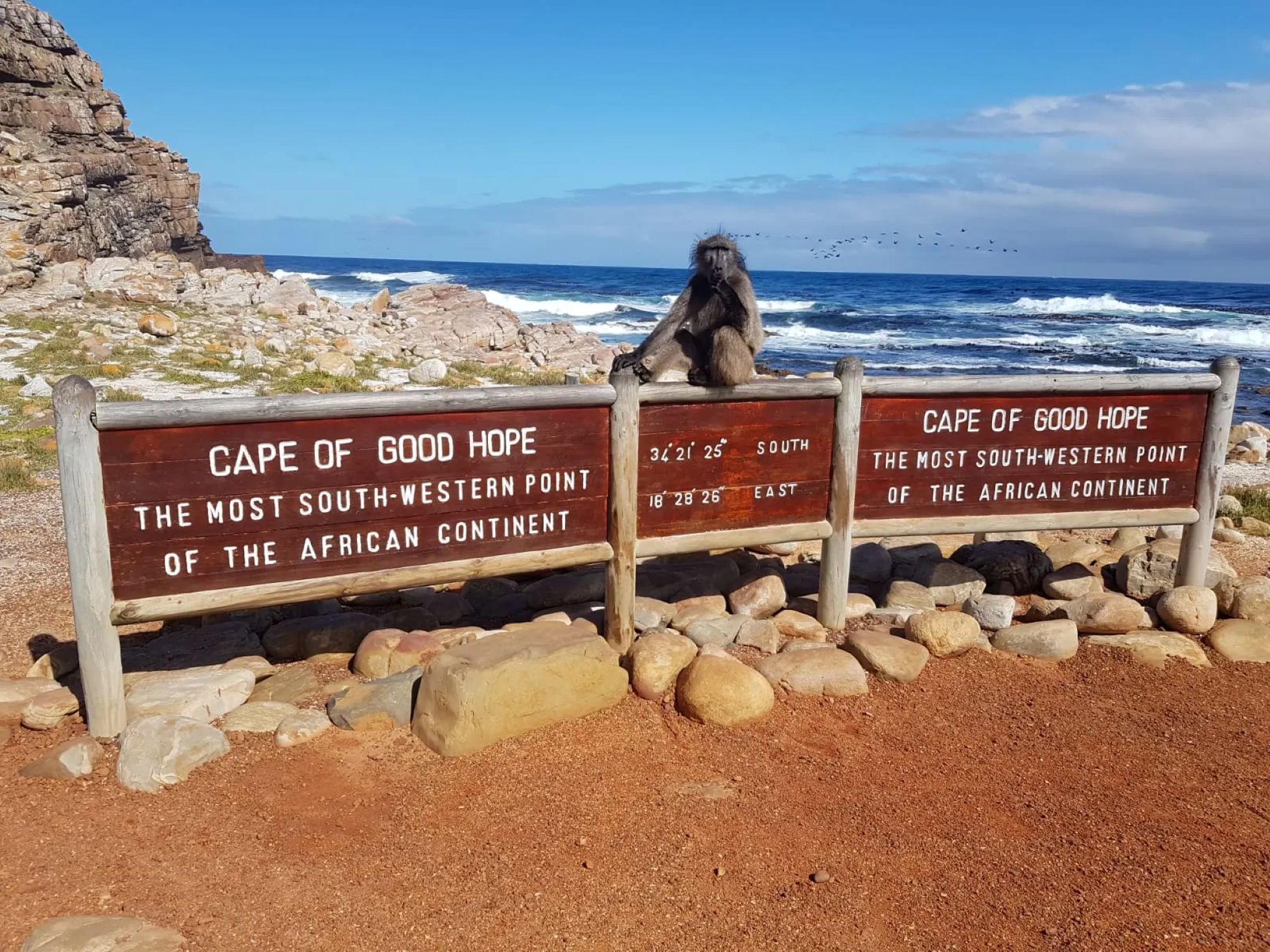 Kap der Guten Hofnung, Cape Point und Afrikanische Pinguine