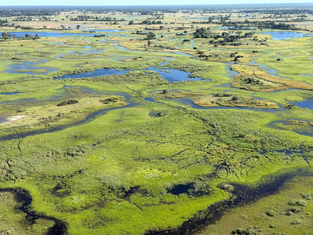 Aerial view of Okovango Delta with green grass, trees in the background and waterways in between