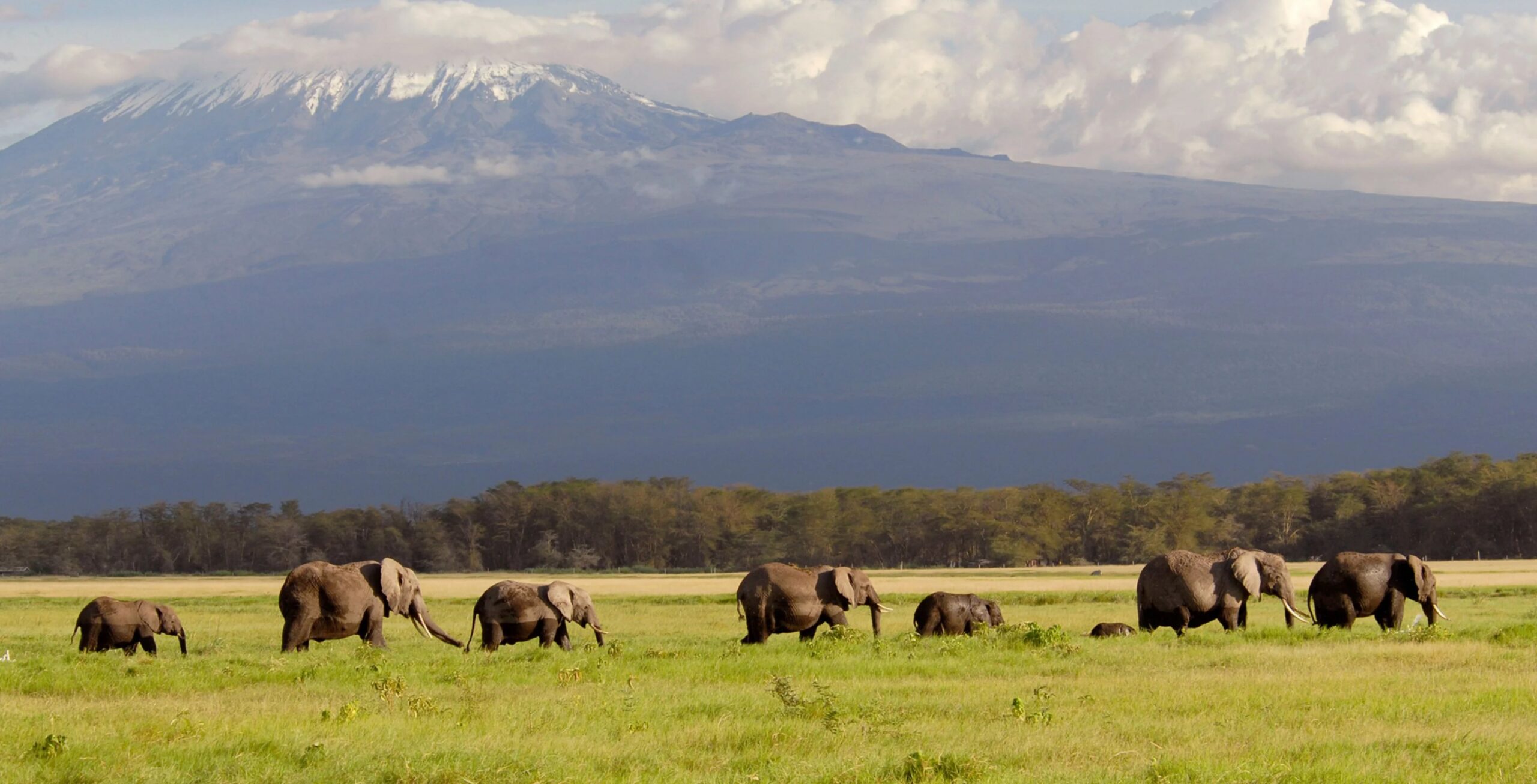 Amboseli Nationalpark