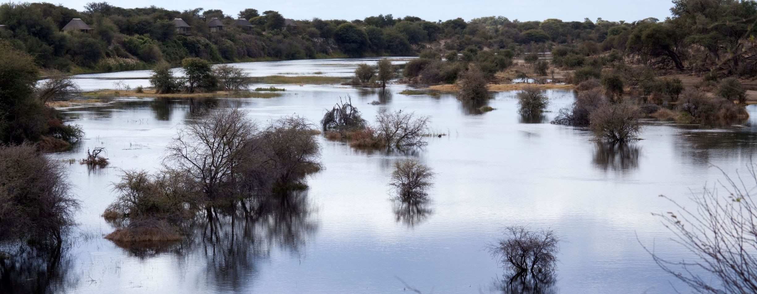 Flug von Maun zum Boteti-Fluss im Makgadikgadi-Pfannen-Nationalpark