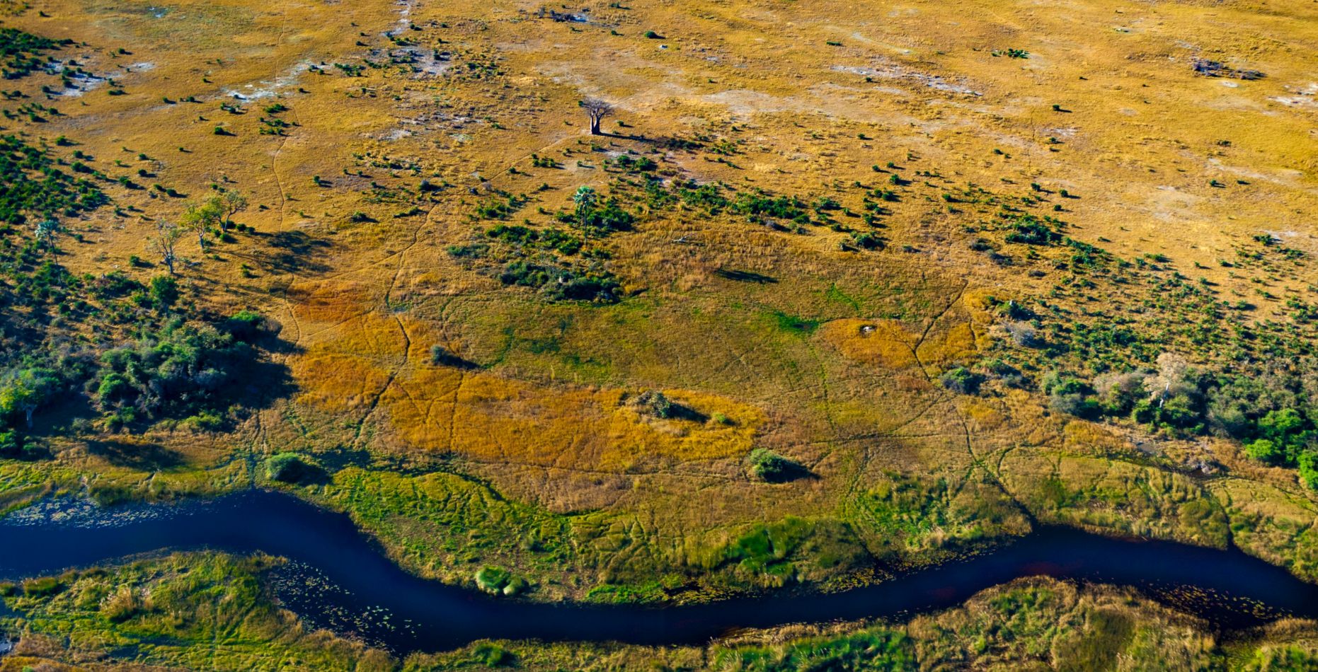 Flug von Khwai Community Concession zum Moremi Game Reserve