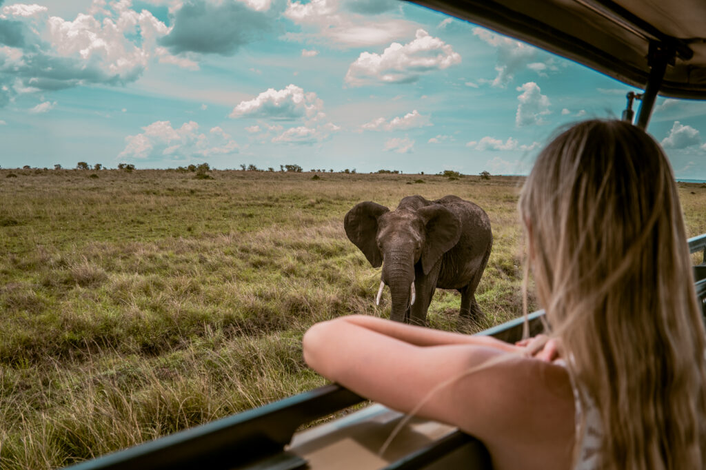 IM_KE_MAR_Client seeing elephant from jeep