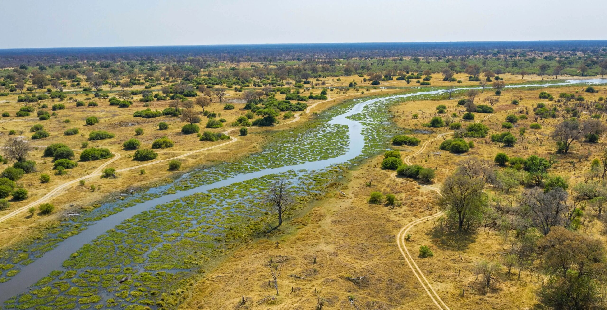Flug von Savuti Marsh zum Khwai Community Concession