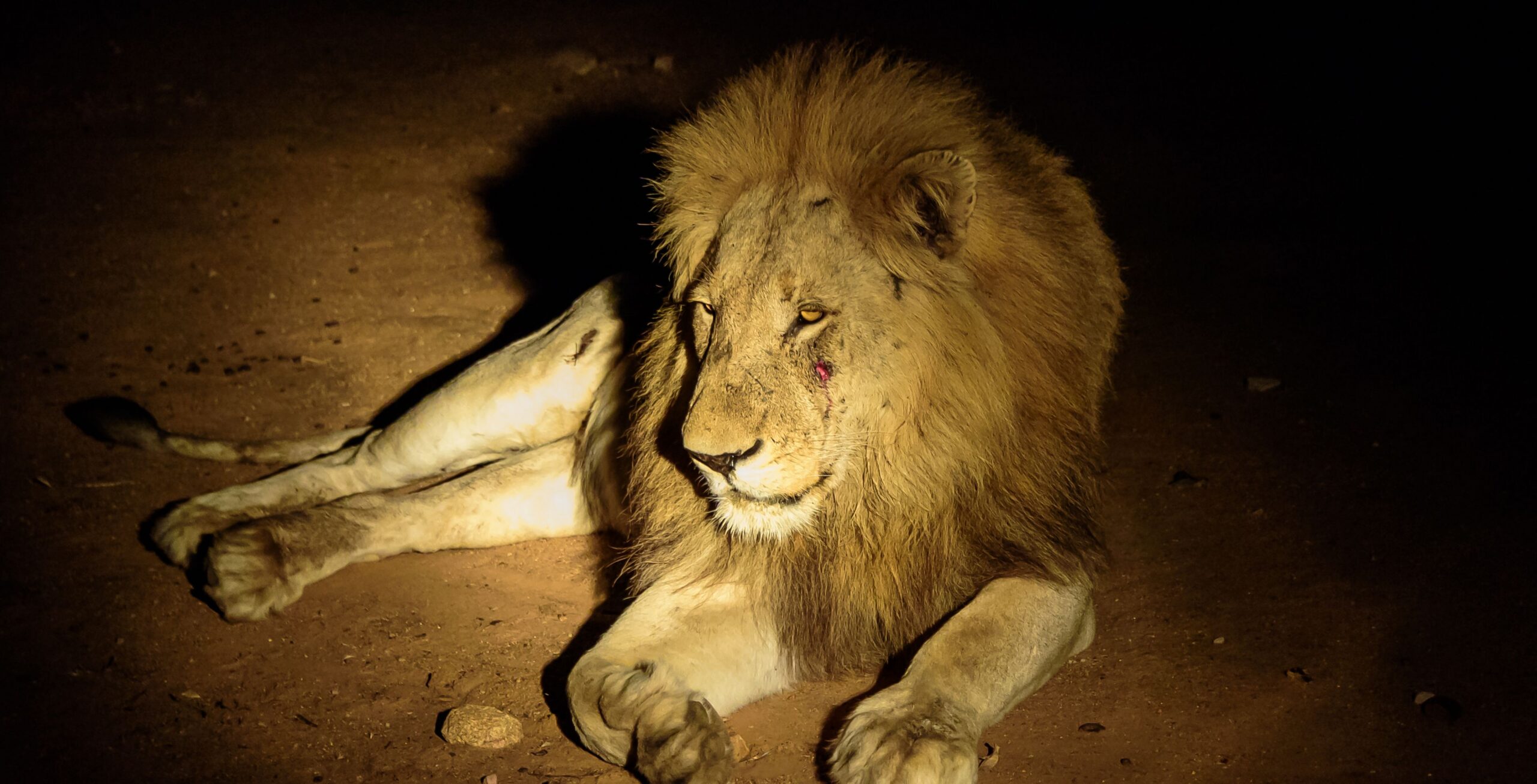 Taita Hills Wildlife Sanctuary und LUMO Conservancy