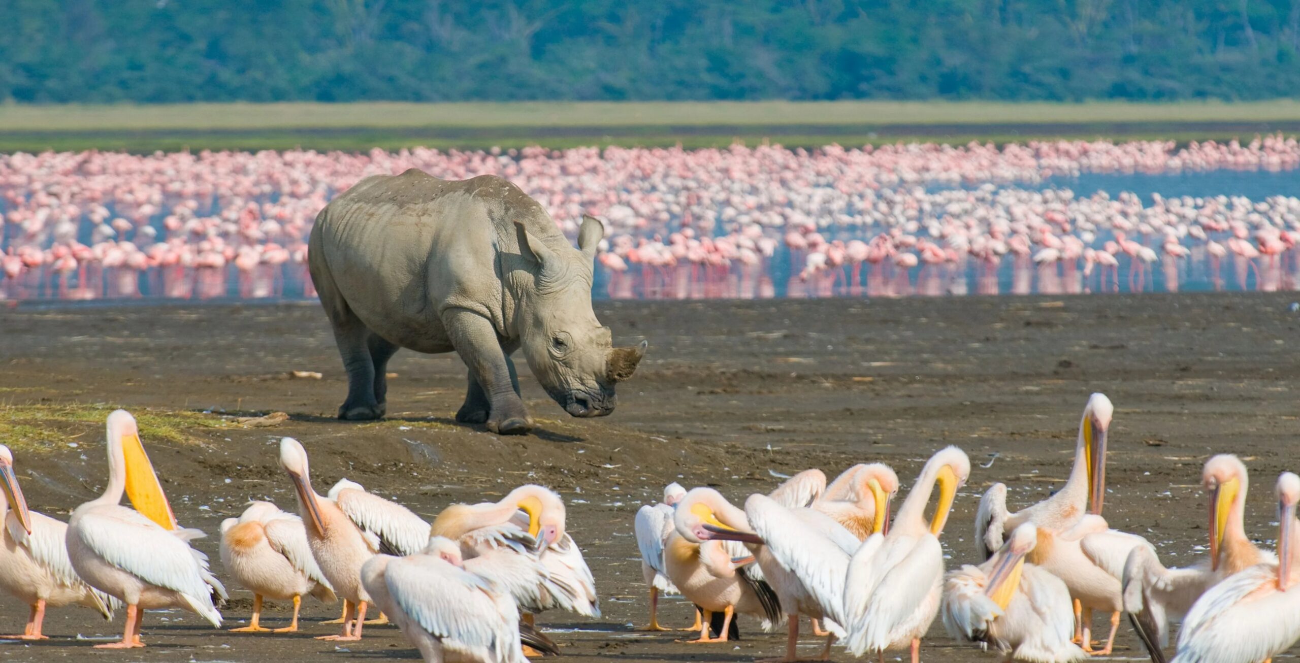 Lake Nakuru Nationalpark