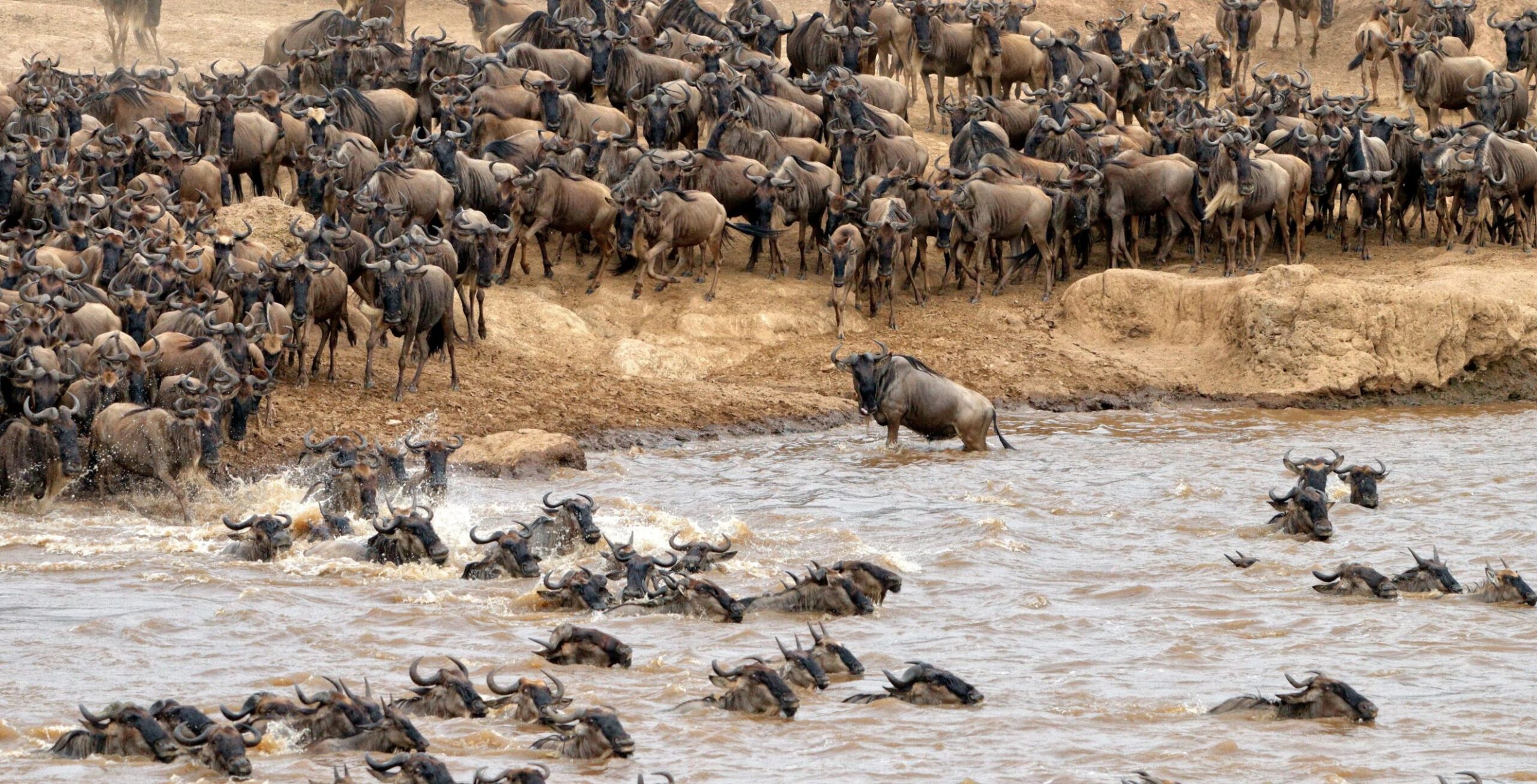 Masai Mara Nationalreservat