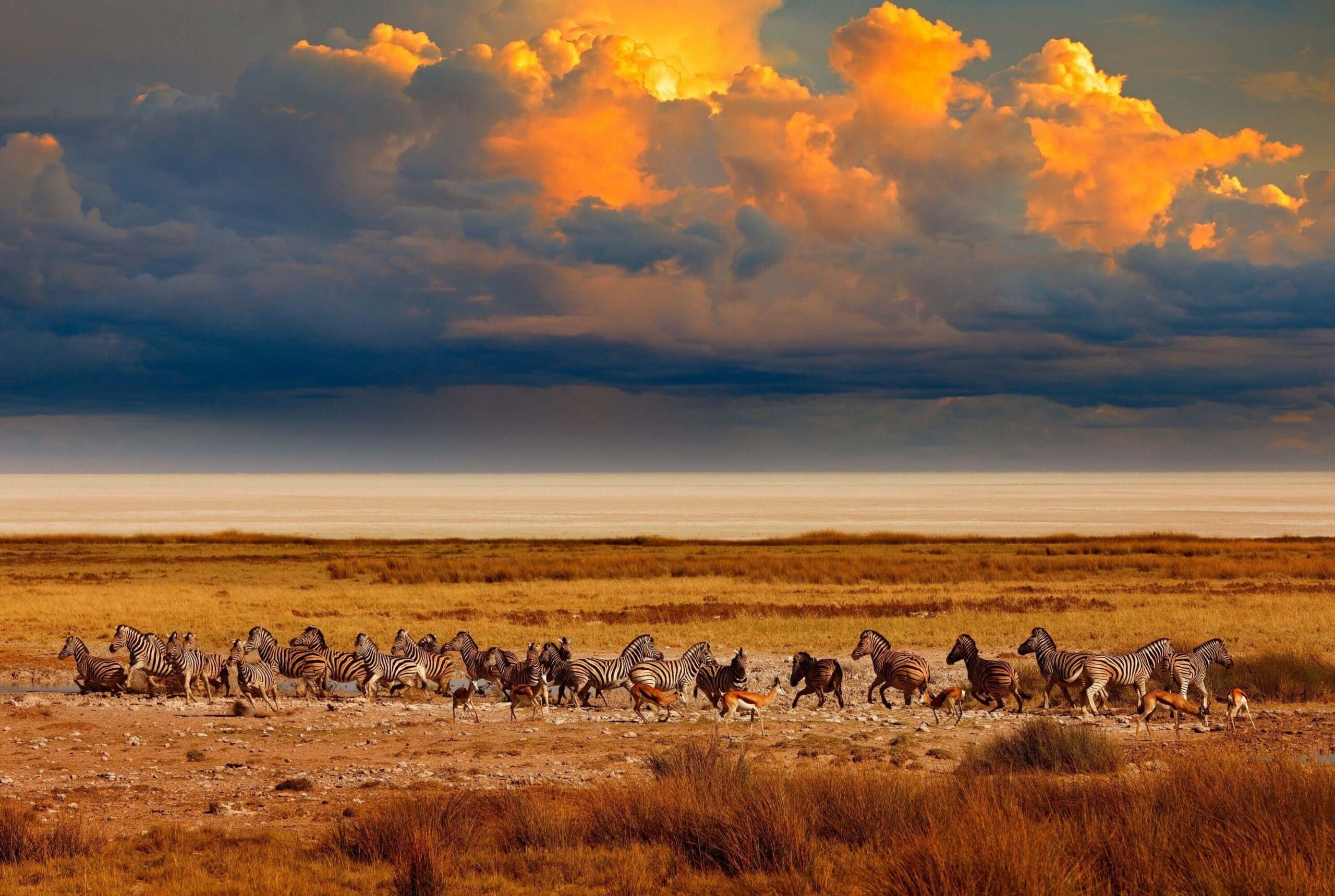 Etosha Nationalpark
