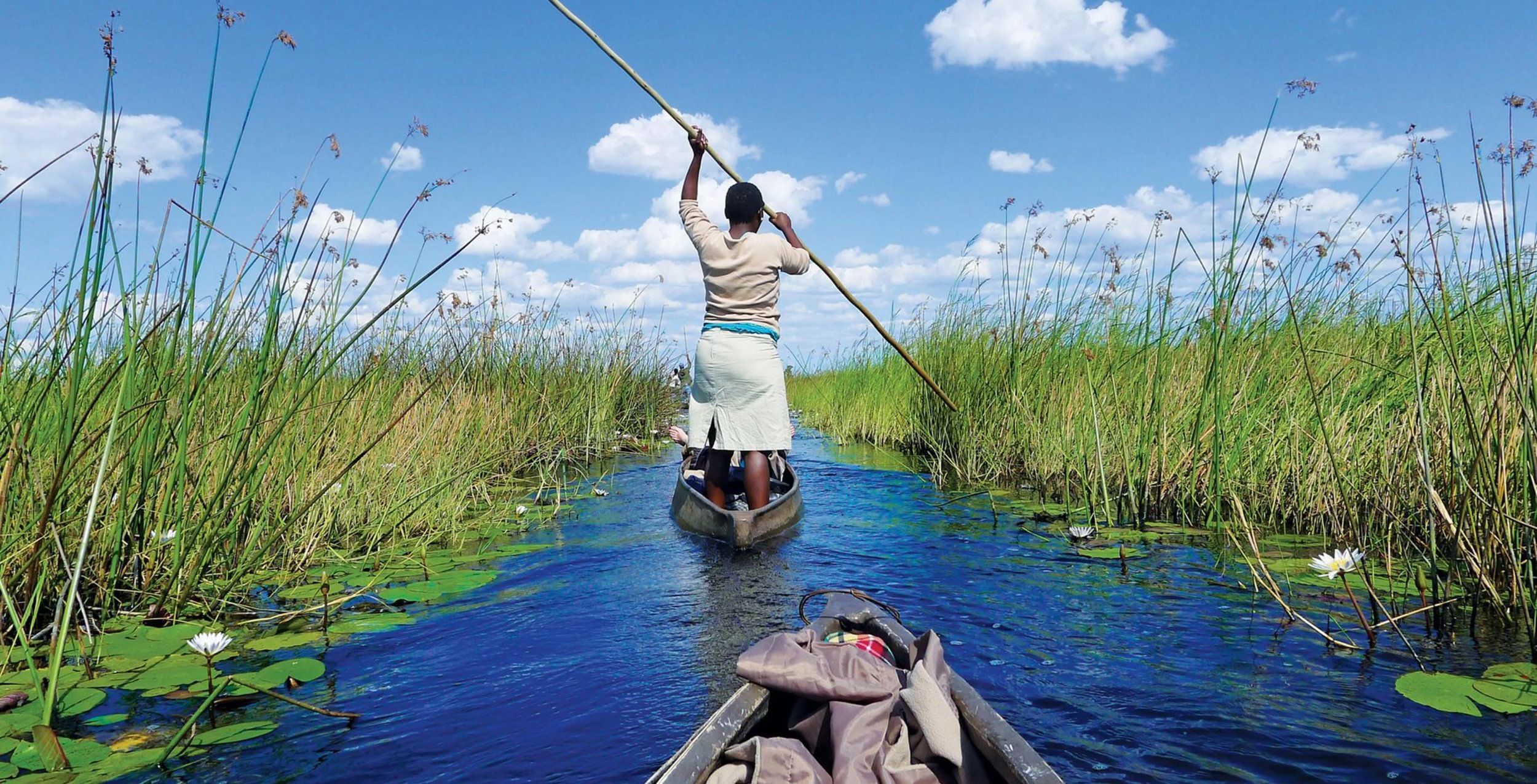 Okavango Delta - Large