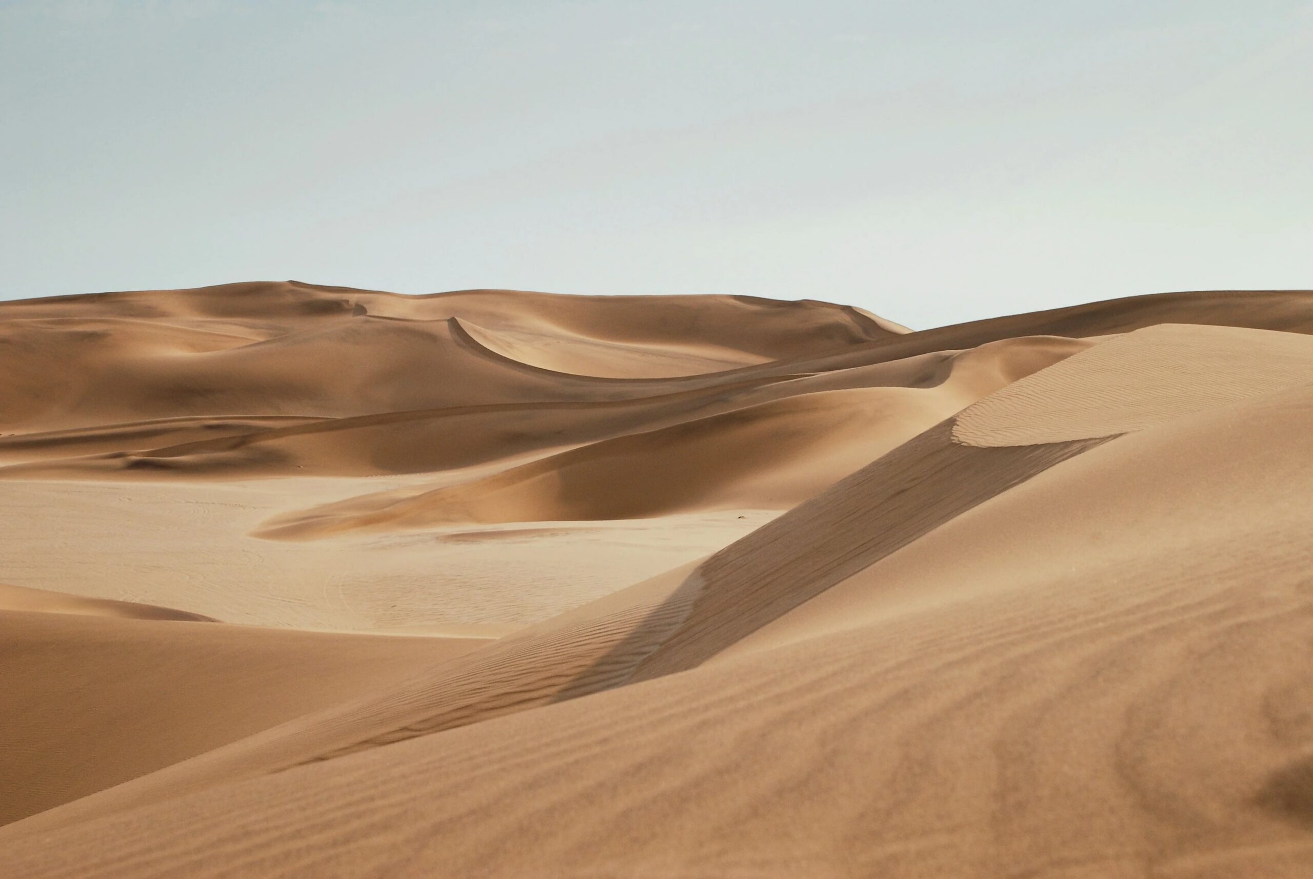 Wellenartige Dünen der Namib-Wüste in Namibia