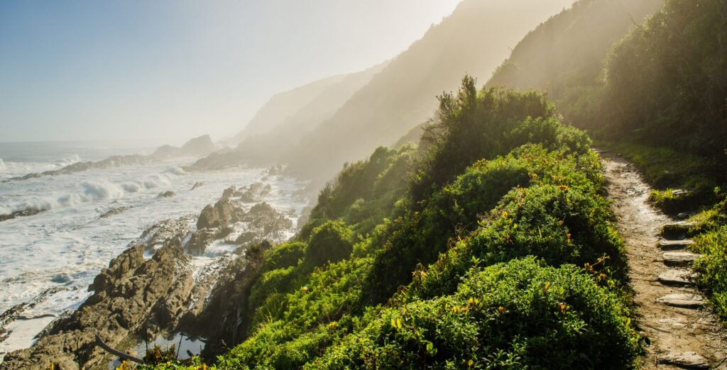 Ein Küstenwanderweg mit Blick auf die schroffe Küste entlang der Garden Route in Südafrika