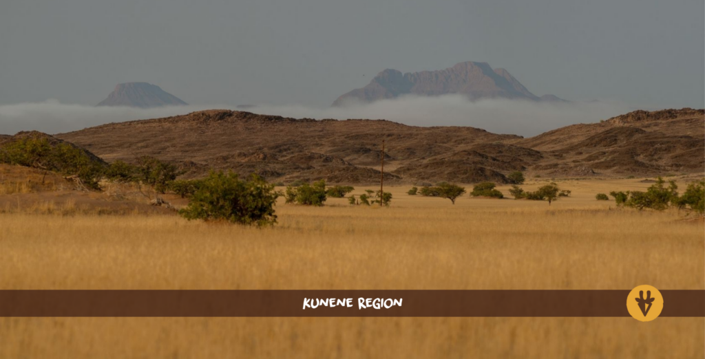 Kunene Region in Namibia mit hohem gelben Gras im Vordergrund und Bergen im Hintergrund