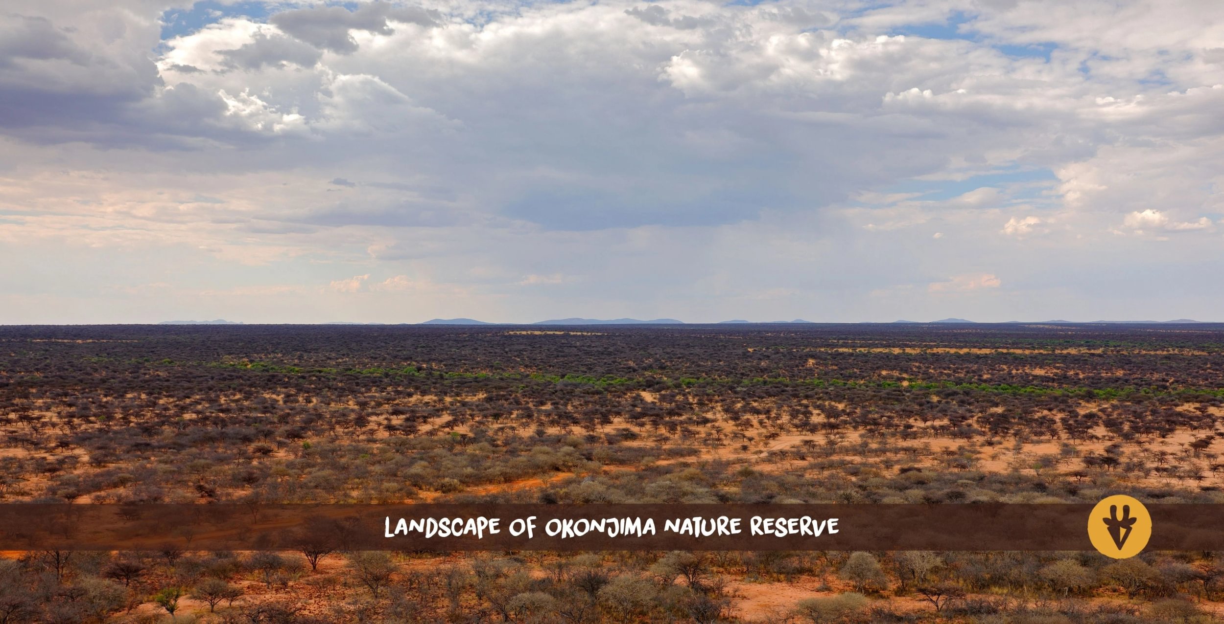 Endlose Landscahft im Okonjima Nature Reserve in Namibia von oben mit Büschen und Bäumen