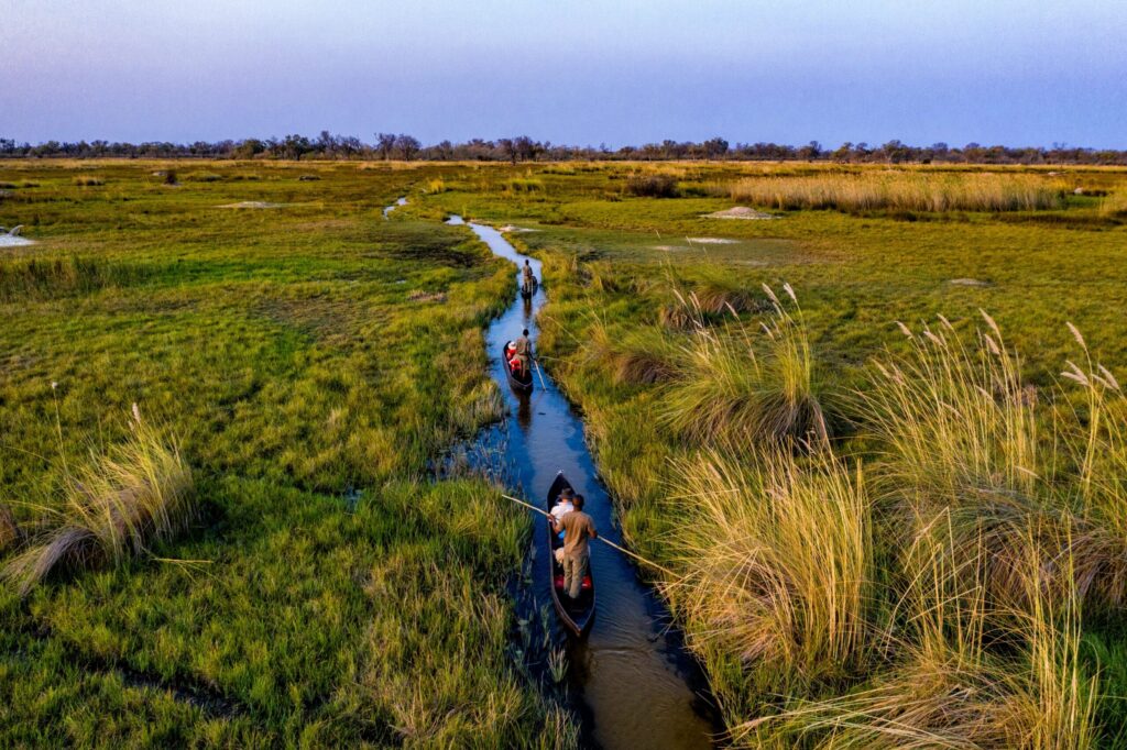 Ein Mokoro-Boot fährt durch eine Wasserstraße in Botswana umgeben von grünem Gras