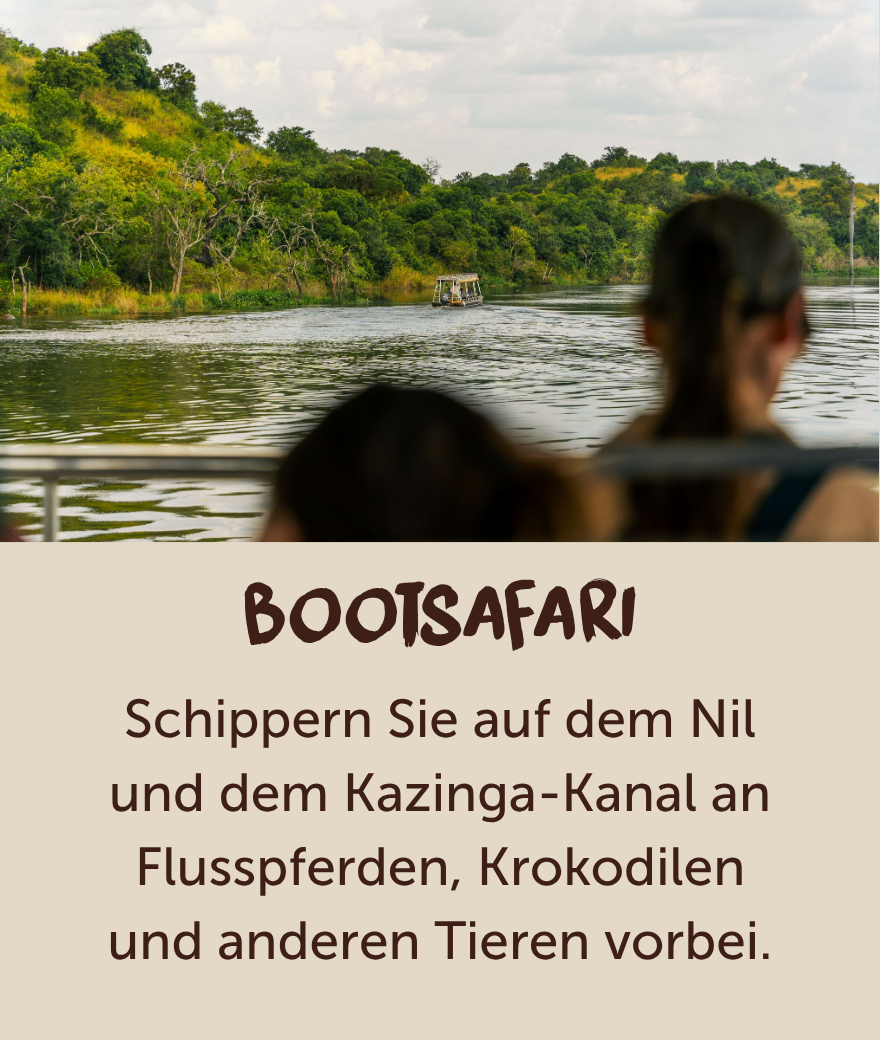 Reisende genießen eine Bootsafari auf einem Gewässer in Uganda, das von Bäumen gesäumt ist