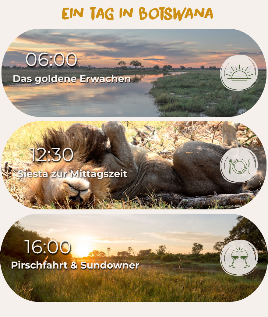 Typischer Tagesablauf einer Botswana-Safari: Frühaktivität um 06:00 Uhr, Mittagsruhe um 12:30 Uhr und Nachmittagssafari mit Sundowner um 16:00 Uhr