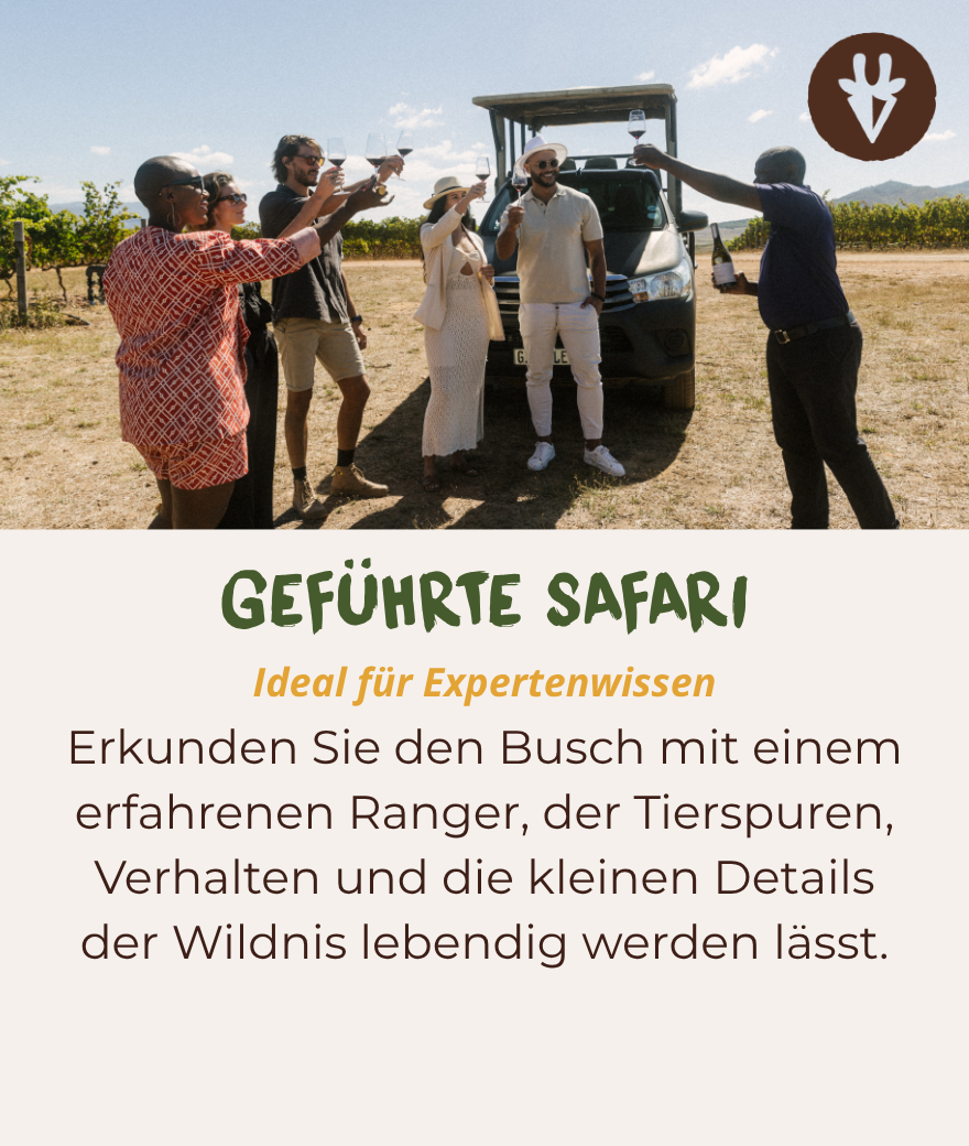 Eine Reisegruppe stößt bei einer geführten Safari vor einem offenen Safari-Jeep an, Südafrika